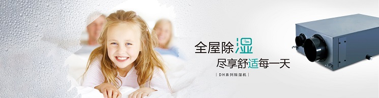 百朗除濕機(jī) 除濕新風(fēng)一體機(jī) 地下室除濕新風(fēng)